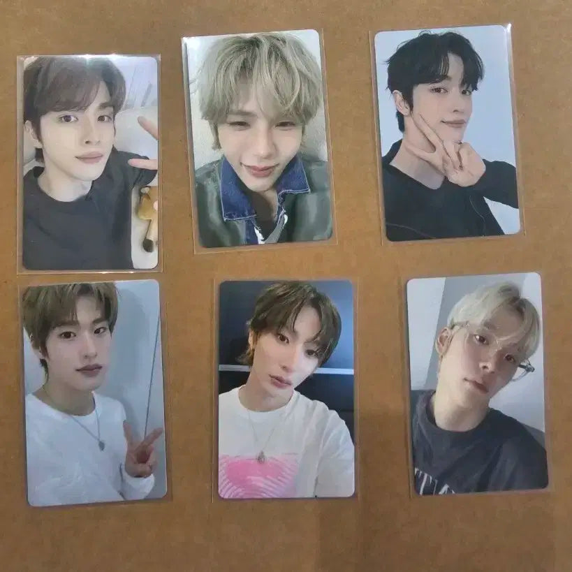 라이즈 일본 투어 후반 한정 럭드 일괄