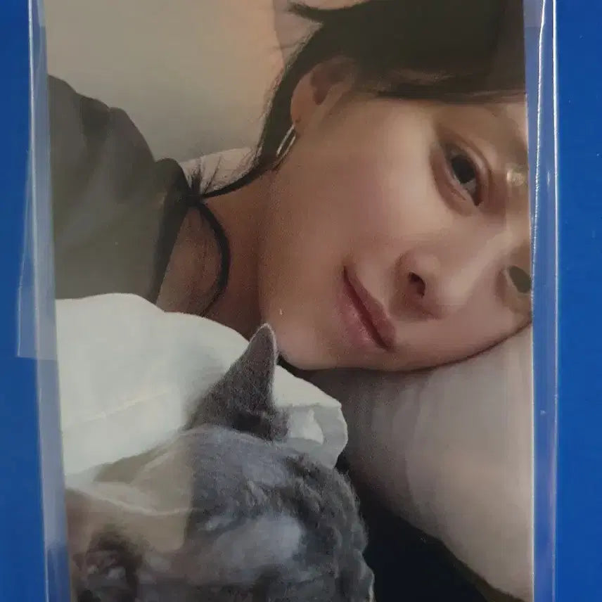 있지 류진 터널비전 공방포카