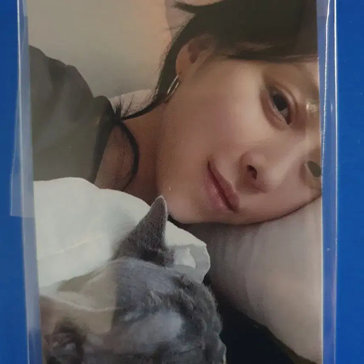 있지 류진 터널비전 공방포카