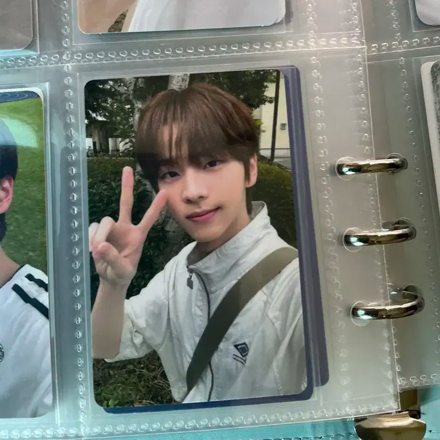 투어스 신유 써머비트 이즈위 포카