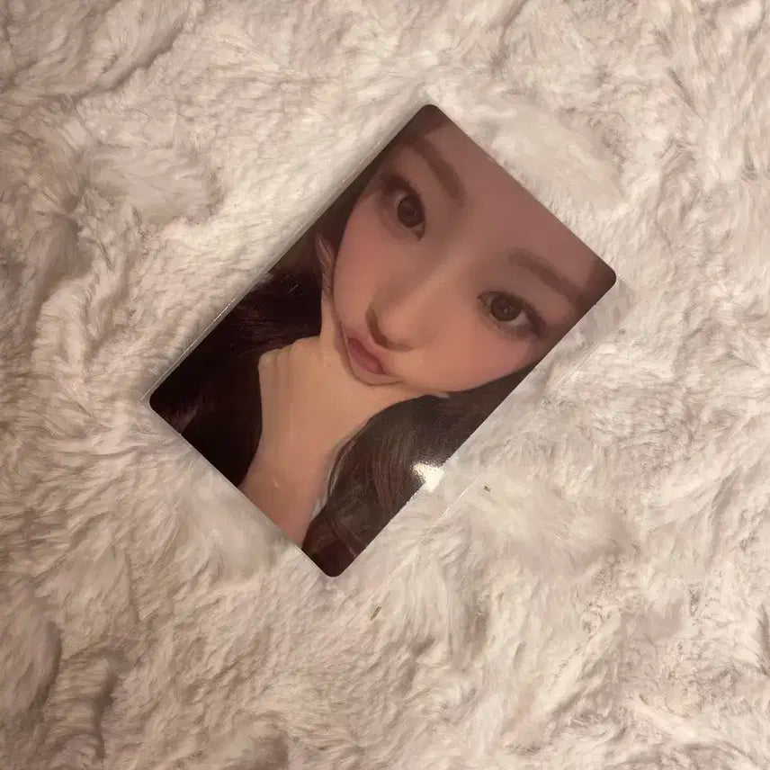 하츠투하츠 스텔라 위버스샵 영통 특전 포토카드 focus