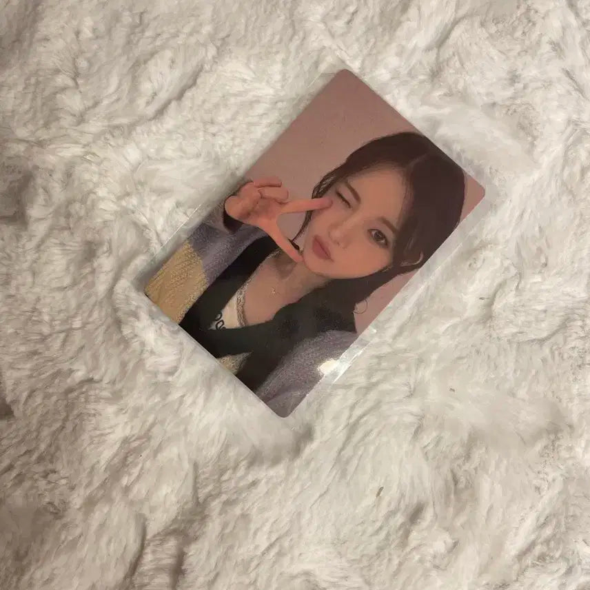 하츠투하츠 유하 위버스샵 영통 특전 포토카드 focus