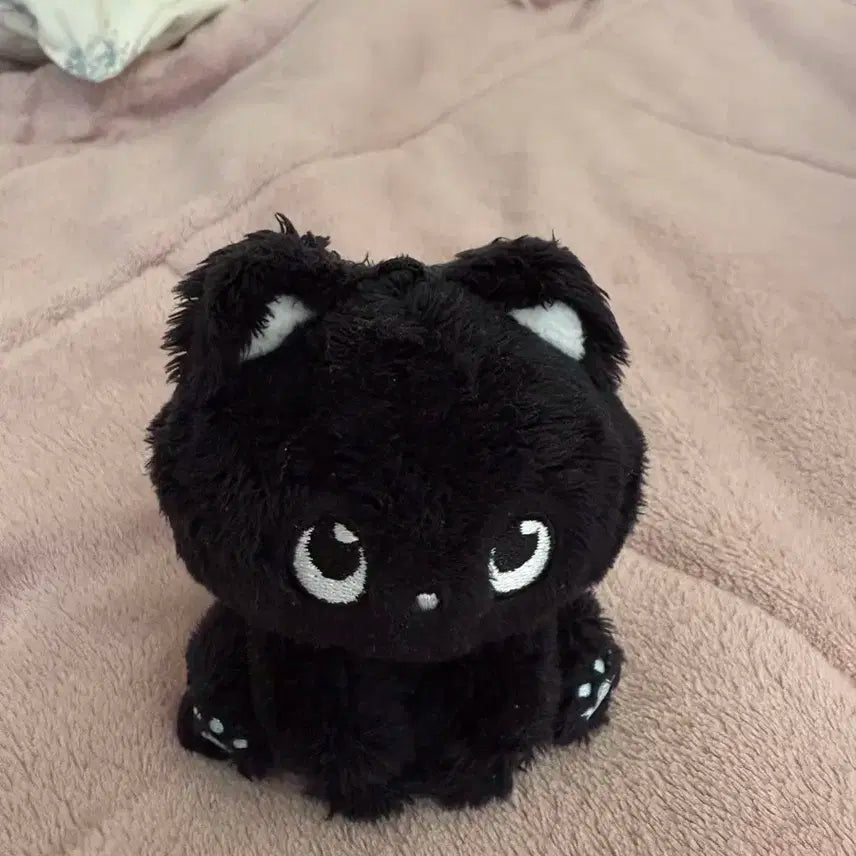 라이즈 원빈 앉은 냥삐