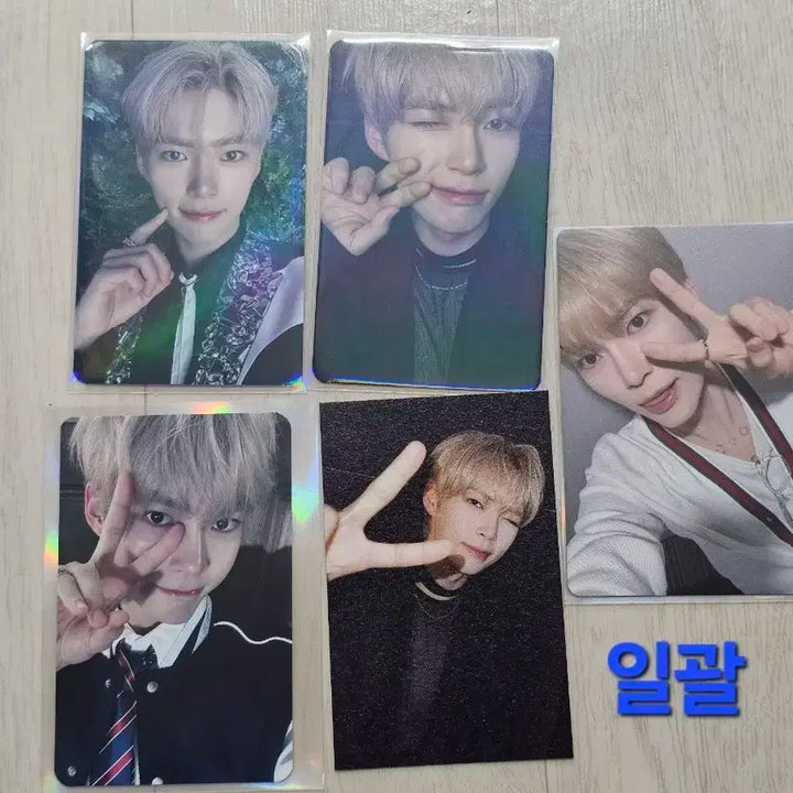 제로베이스원 성한빈 타임리스월드 제로즈존 포카 일괄 양도