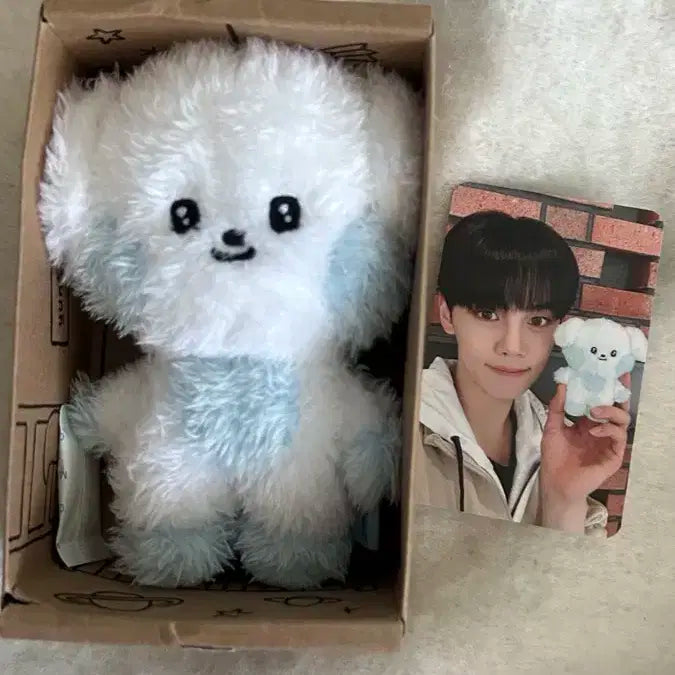 제로니 규니니 풀세트 판매