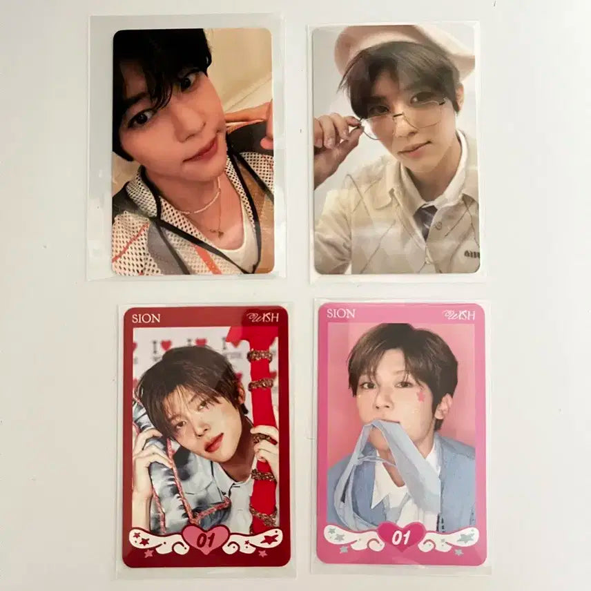 엔시티위시 시온 포카 일괄