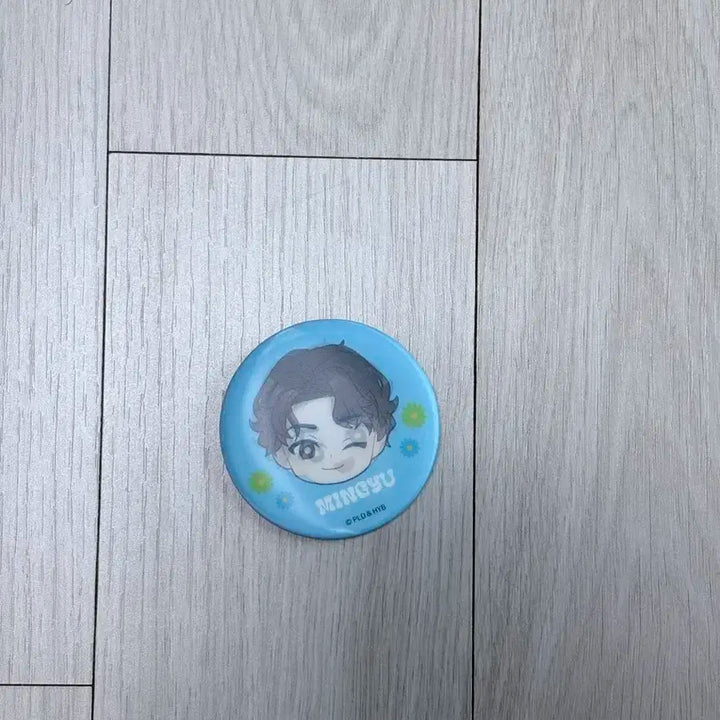 세븐틴 쁘띠틴 캔뱃지 페티틴 일본 민규