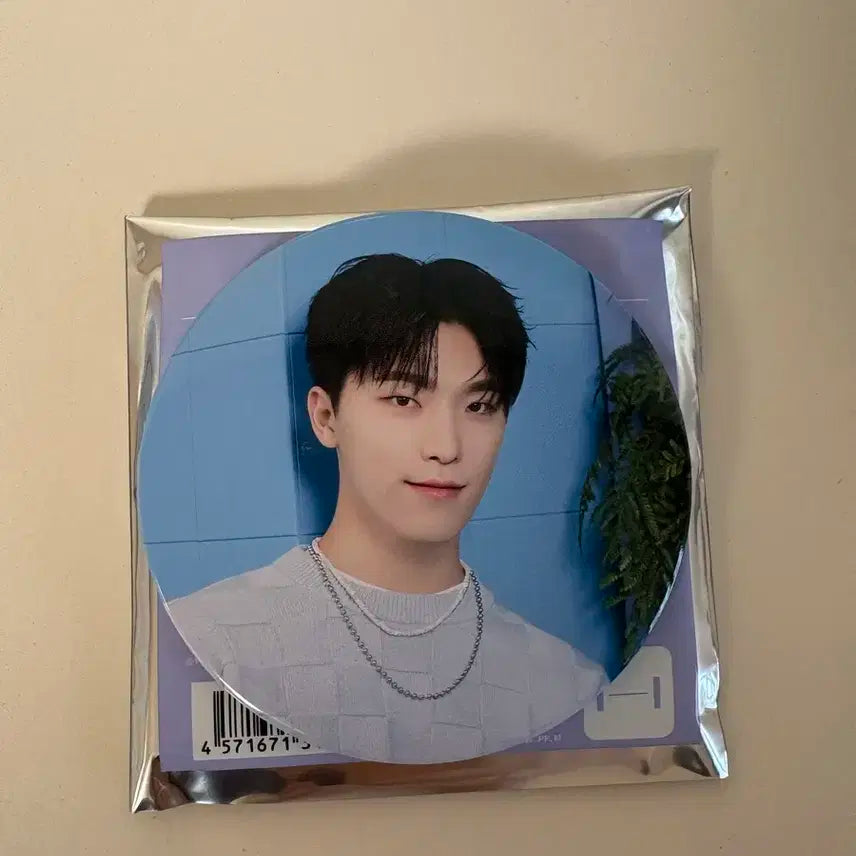 세븐틴 2024홈 캔뱃지 디노