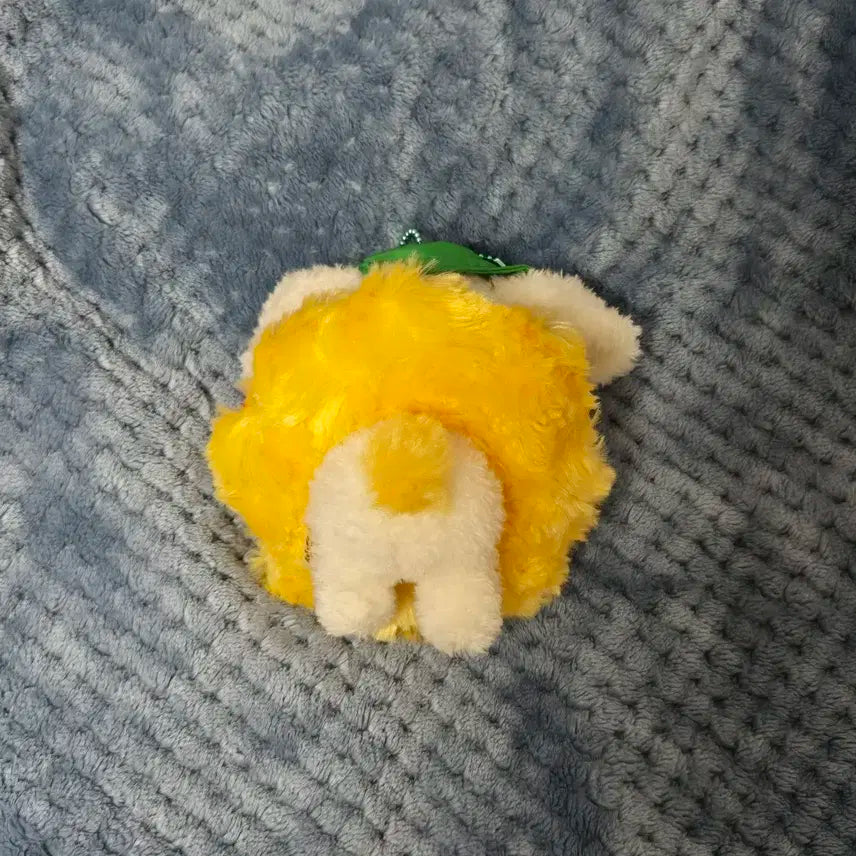 크래비티 송형준 어텀터리 양도