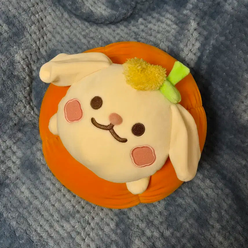 크래비티 송형준 대왕호박터리 양도