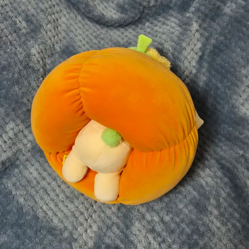 크래비티 송형준 대왕호박터리 양도