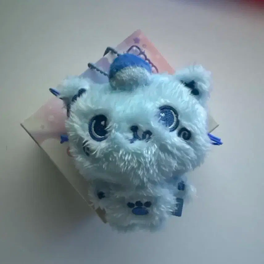 위부부 위시돌 쿠리 파란색