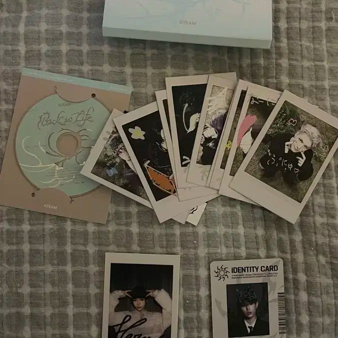 앤팀 미니 cdr 앨범