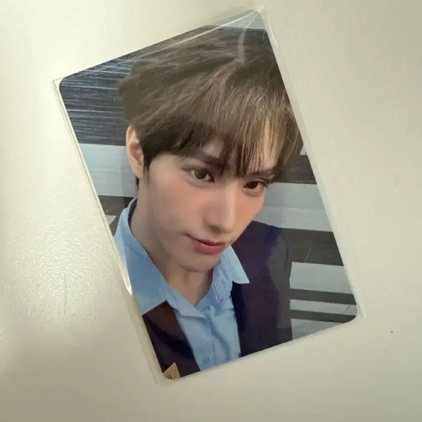 싸이커스 진식 더스타 포카