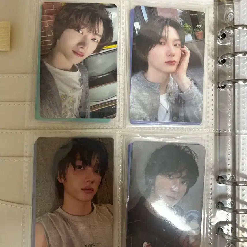 보넥도 성호 포카 일괄 판매