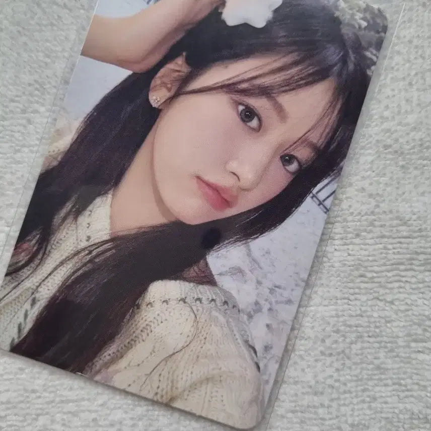 아이브 유진 포카 팜다