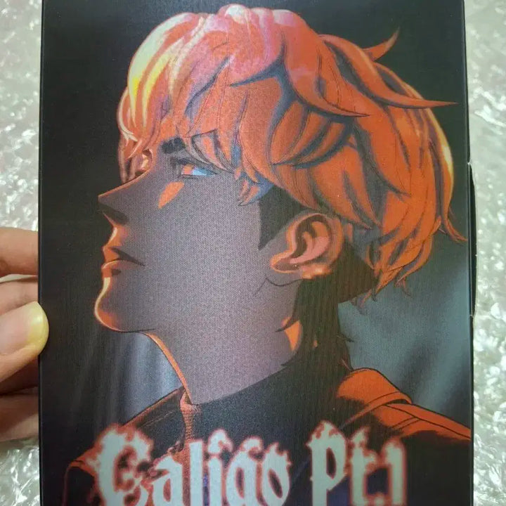 플레이브 칼리고 파트1 뱅가드 은호앨범 판매