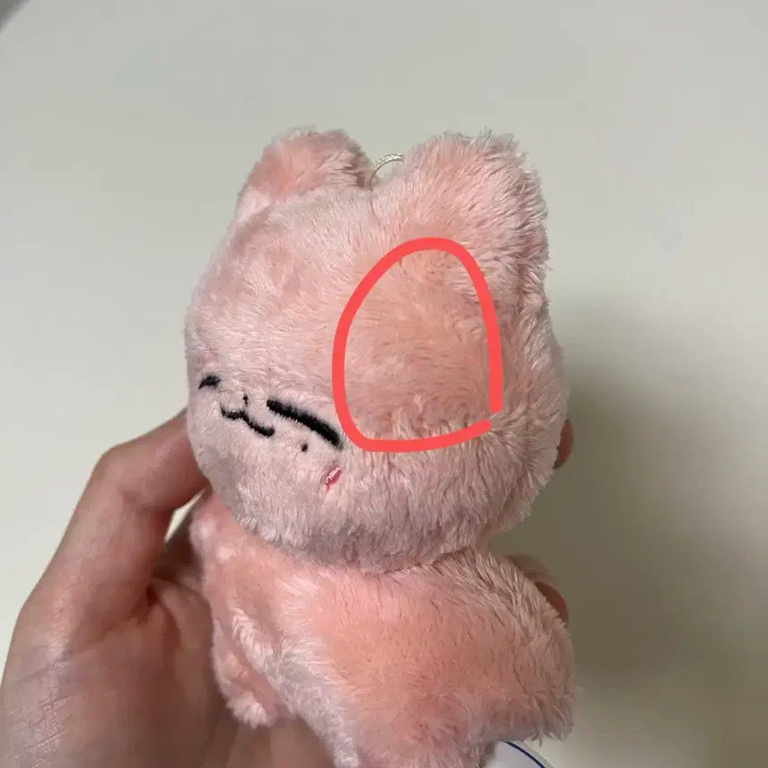 재현 인형 잰냥이