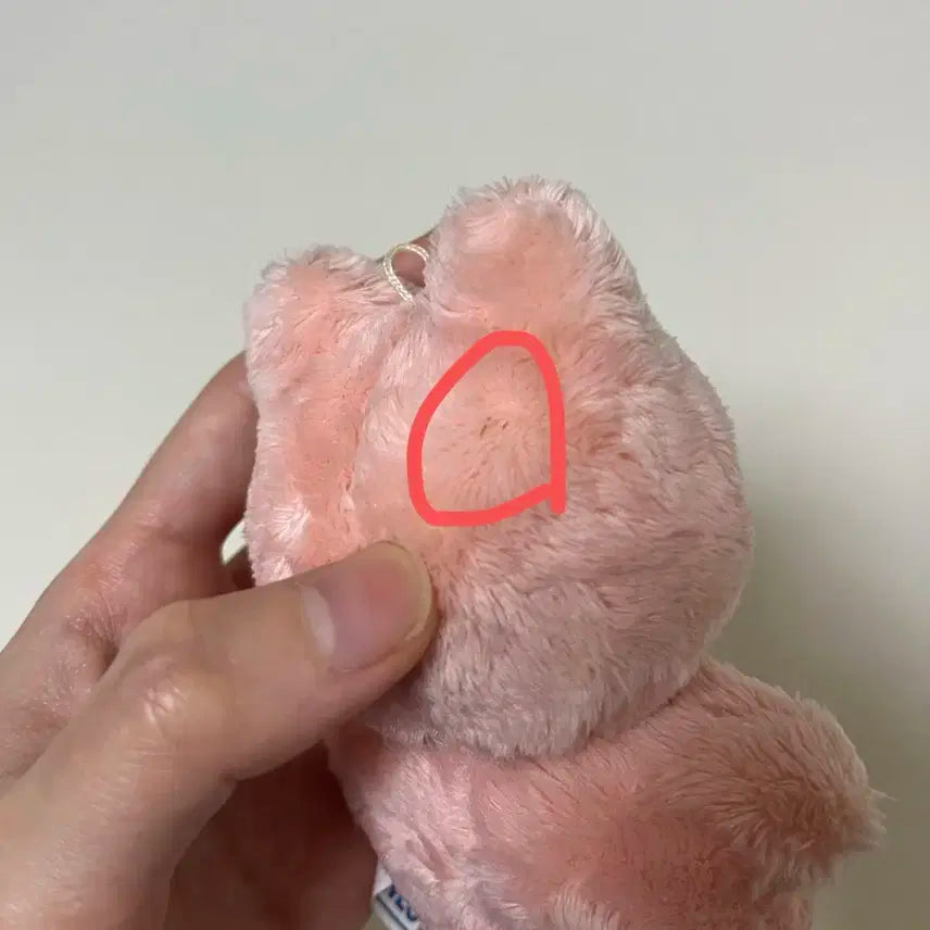 재현 인형 잰냥이