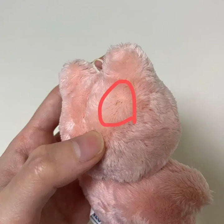 재현 인형 잰냥이