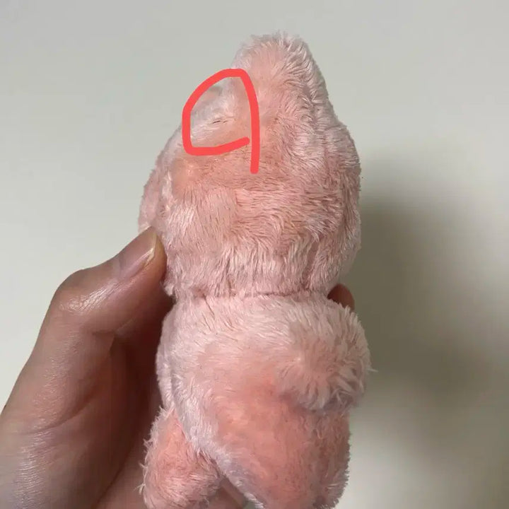 재현 인형 잰냥이