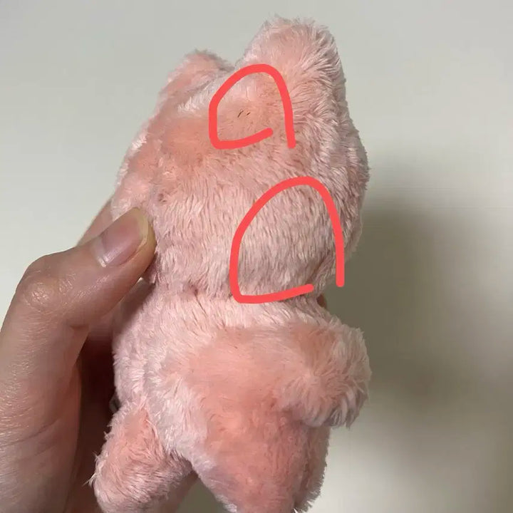 재현 인형 잰냥이