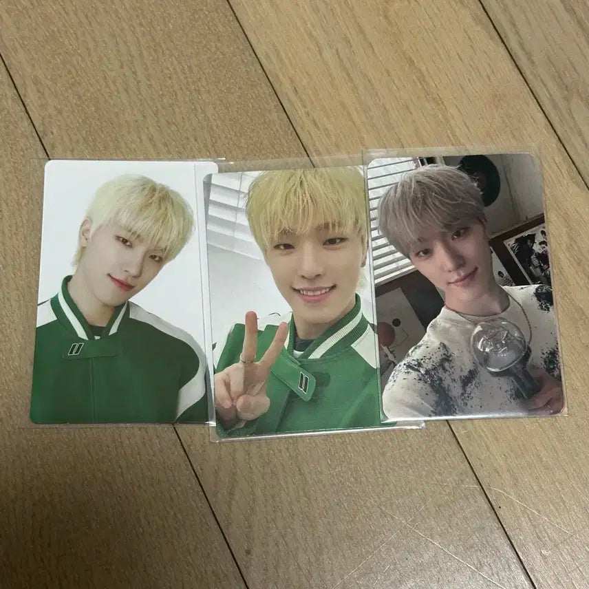 세븐틴 팔로우콘 디노 트레카&캐럿존 일괄