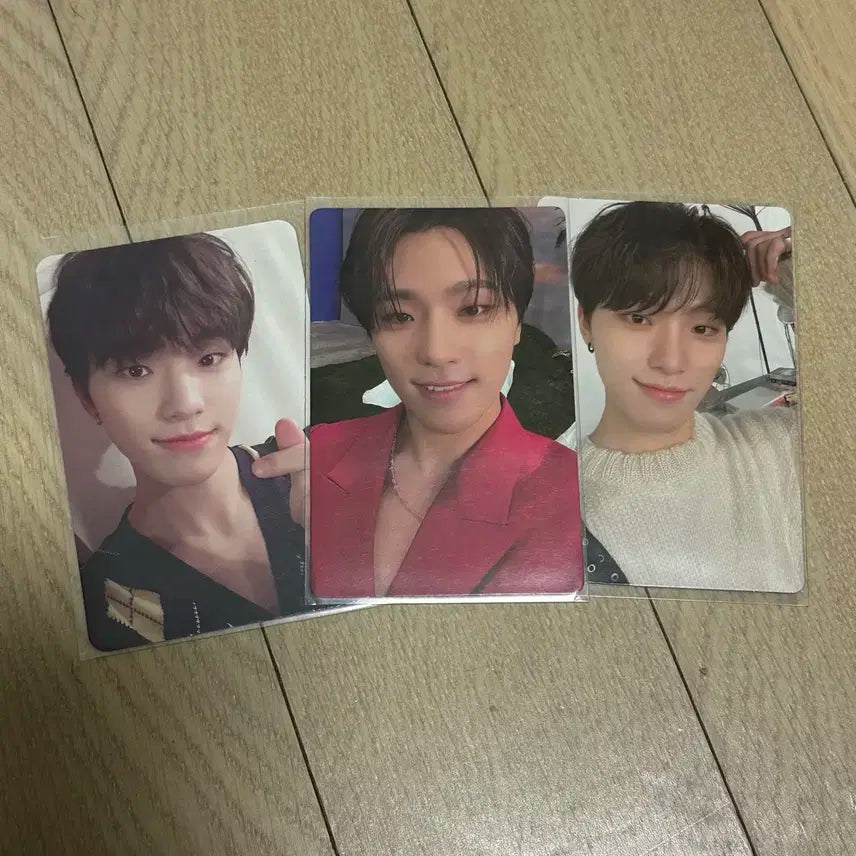 세븐틴 디노 앨포 일괄