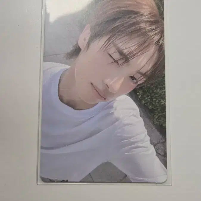 투어스 썸머비트 영재포카