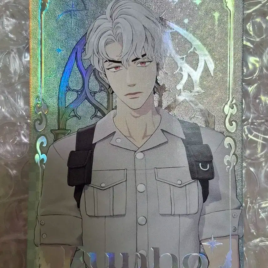 플레이브 도은호 스타샤드 포카