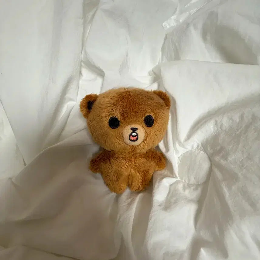 이곰도 해찬 인형 꼼찬 이해찬 인형