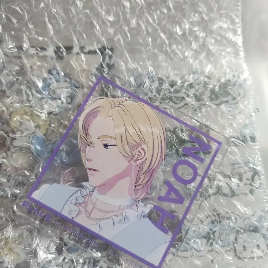 플레이브 노아 아크릴 공굿