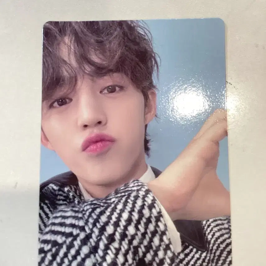 세븐틴 에스쿱스 FML 포카