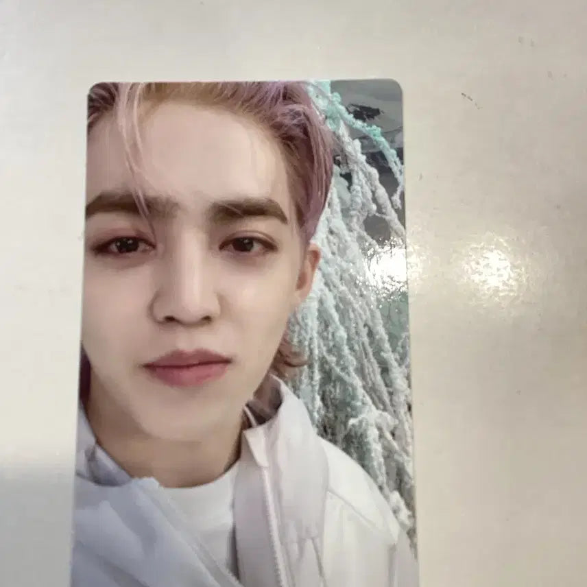 세븐틴 에스쿱스 섹터 17 포카