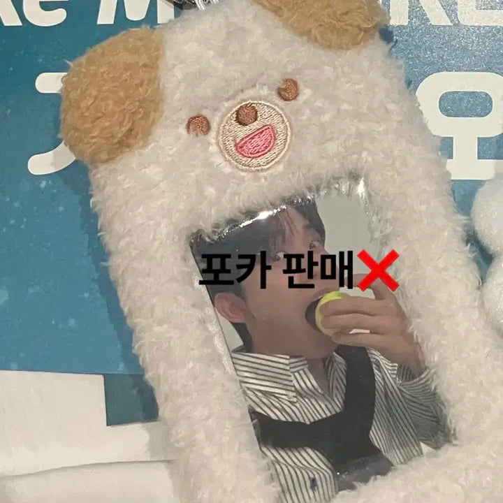 데니멀즈 쁘띠멀즈 돈 포카홀더