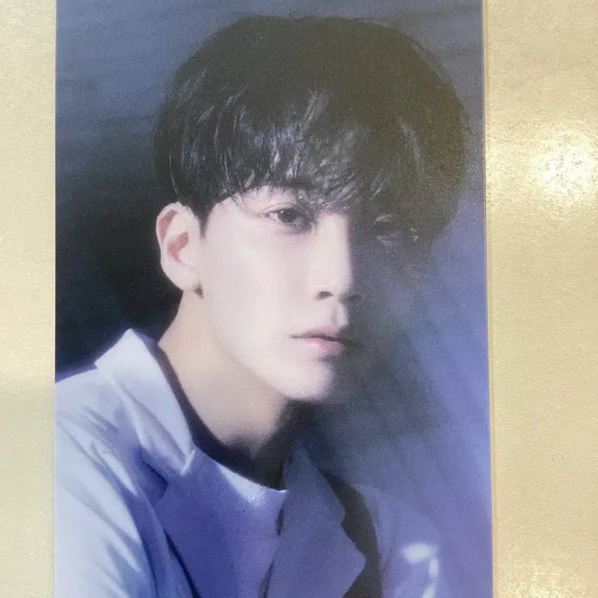 세븐틴 정한 섹터 17 포카