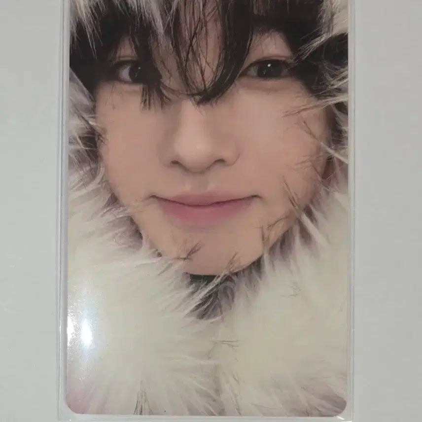 엔시티 위시 미라클 사쿠야