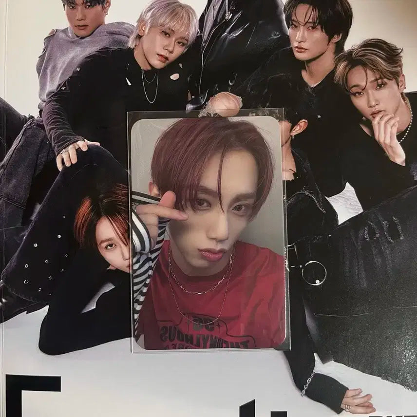 다크비 이모션 덥트버전+해리준 미공포 (앨범 구성 설참)