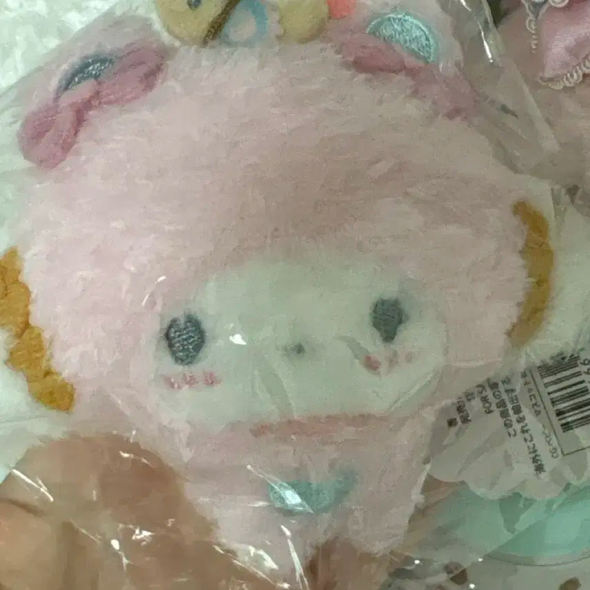 공주님납시셨다