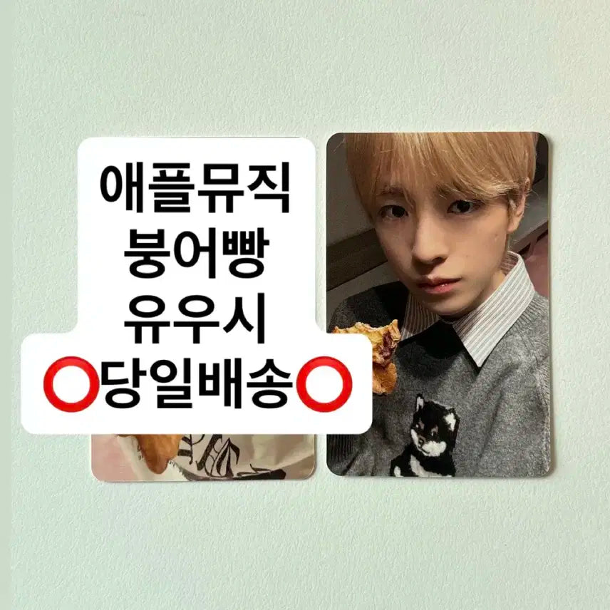 유우시 엔시티 위시 애플뮤직 럭드 붕어빵 포카