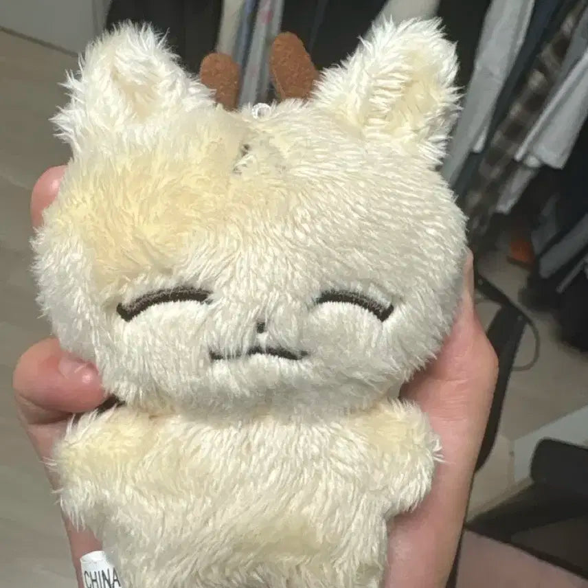 세븐틴 조슈아 인형 절미슈