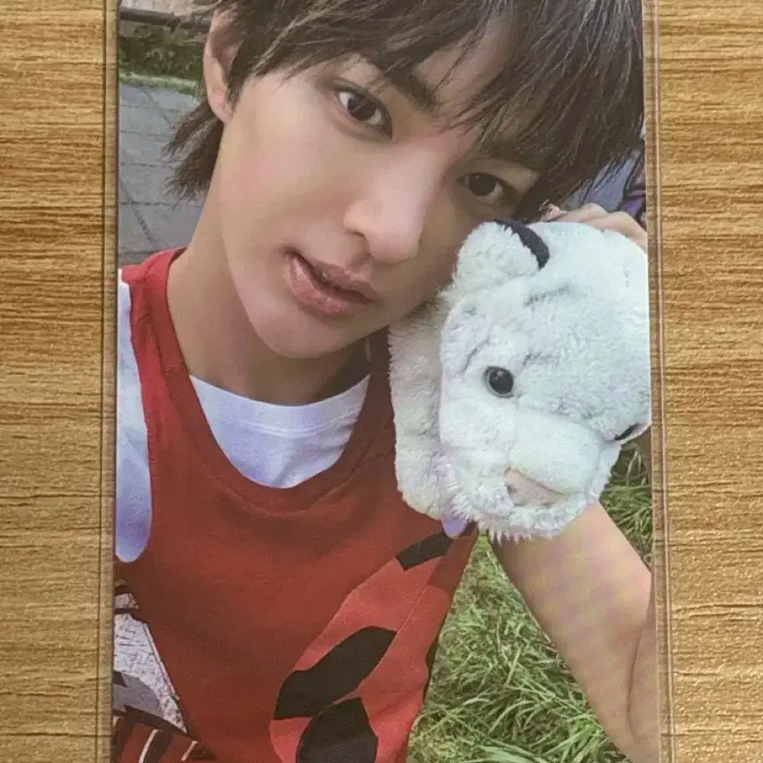 코르티스 건호 포카 양도