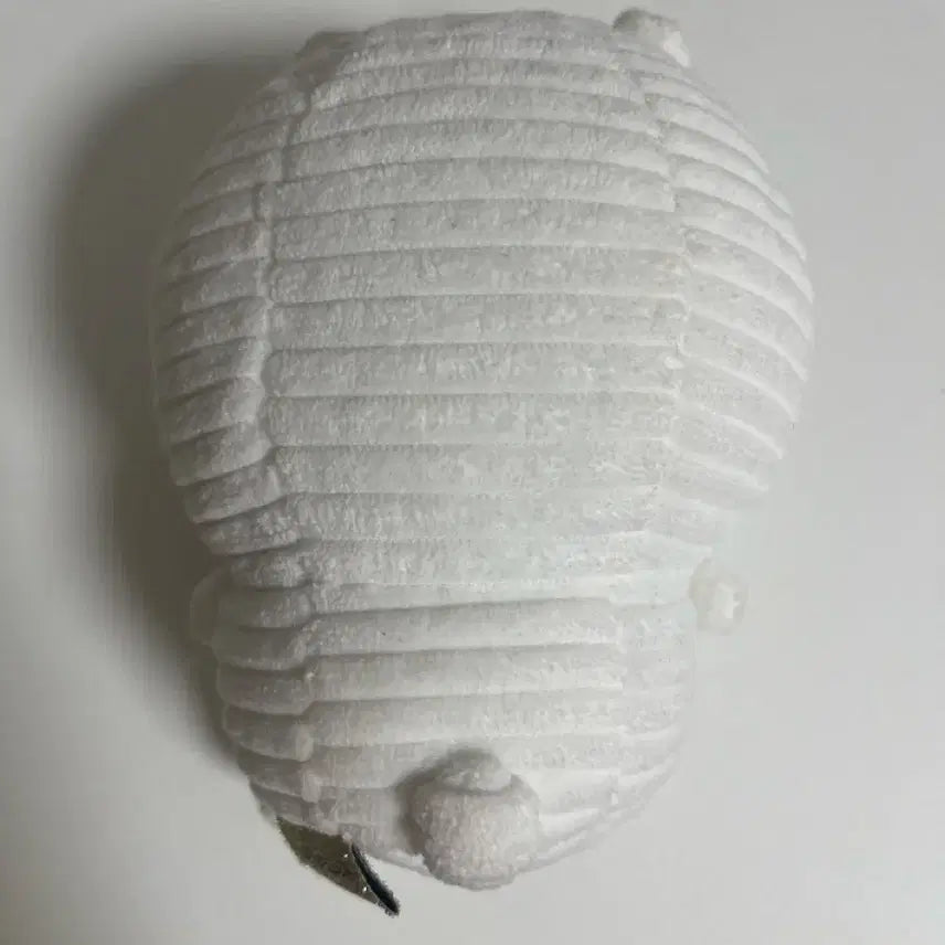 코듀로이 농담곰