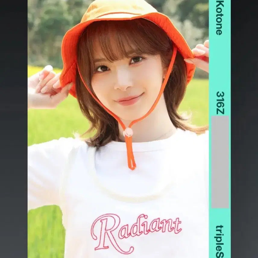 트리플에스 코토네 316Z 오브젝트