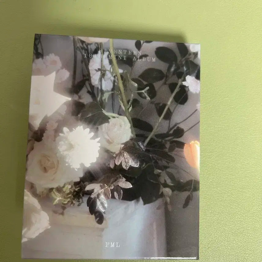 세븐틴 FML CARAT ver. 승관