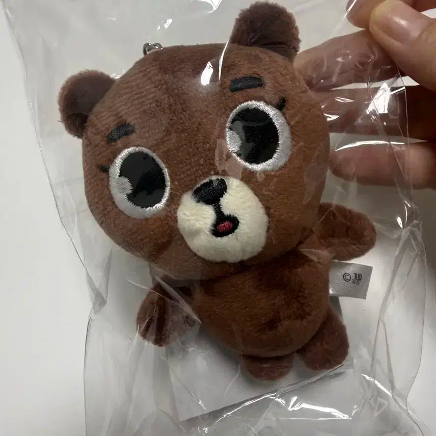 데이식스 일본 엠디 방 참