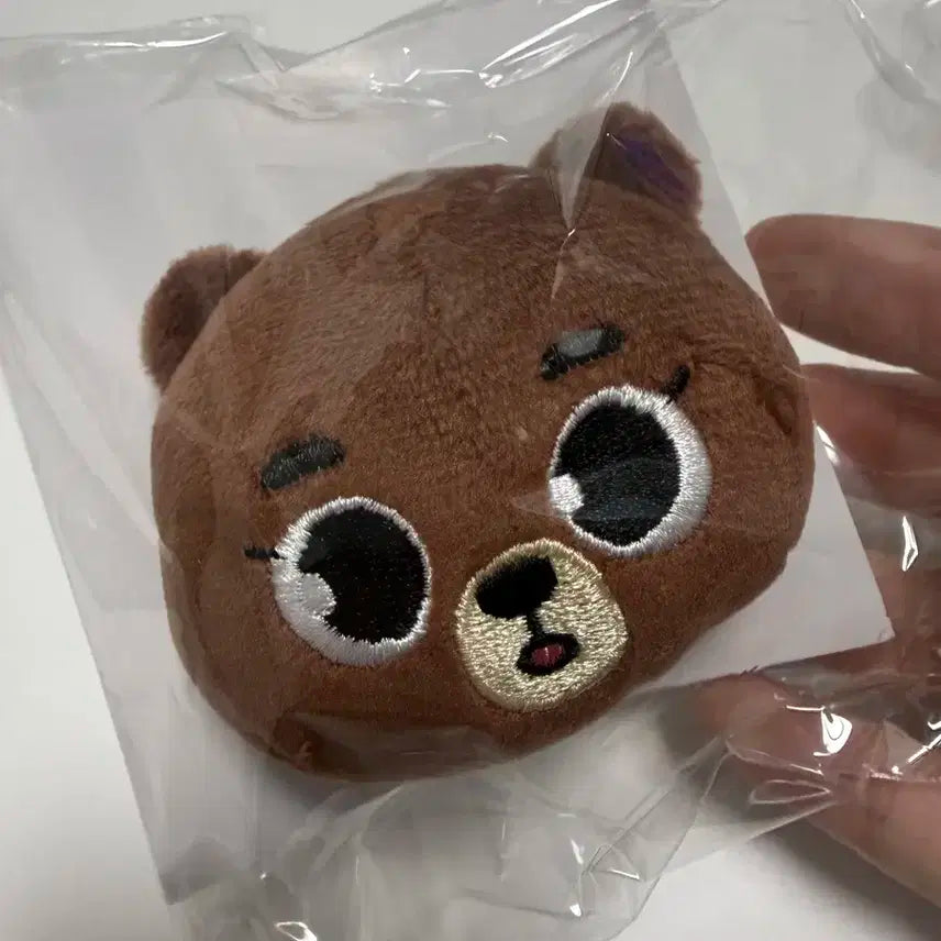 데이식스 일본 MD 토이 뱃지 방