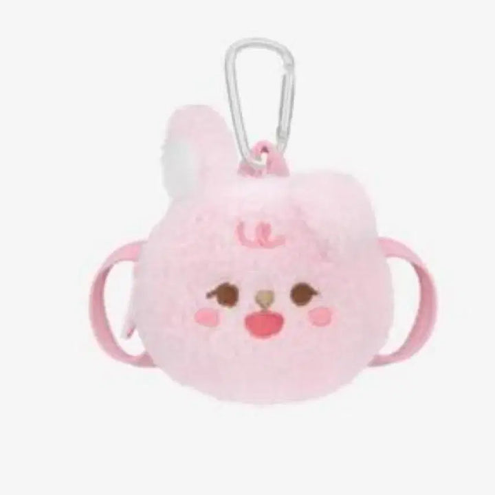 데이식스 쁘띠멀즈 플러시백팩  원필