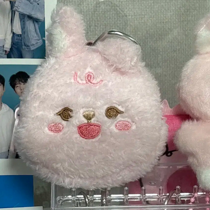 데이식스 쁘띠멀즈 플러시백팩  원필