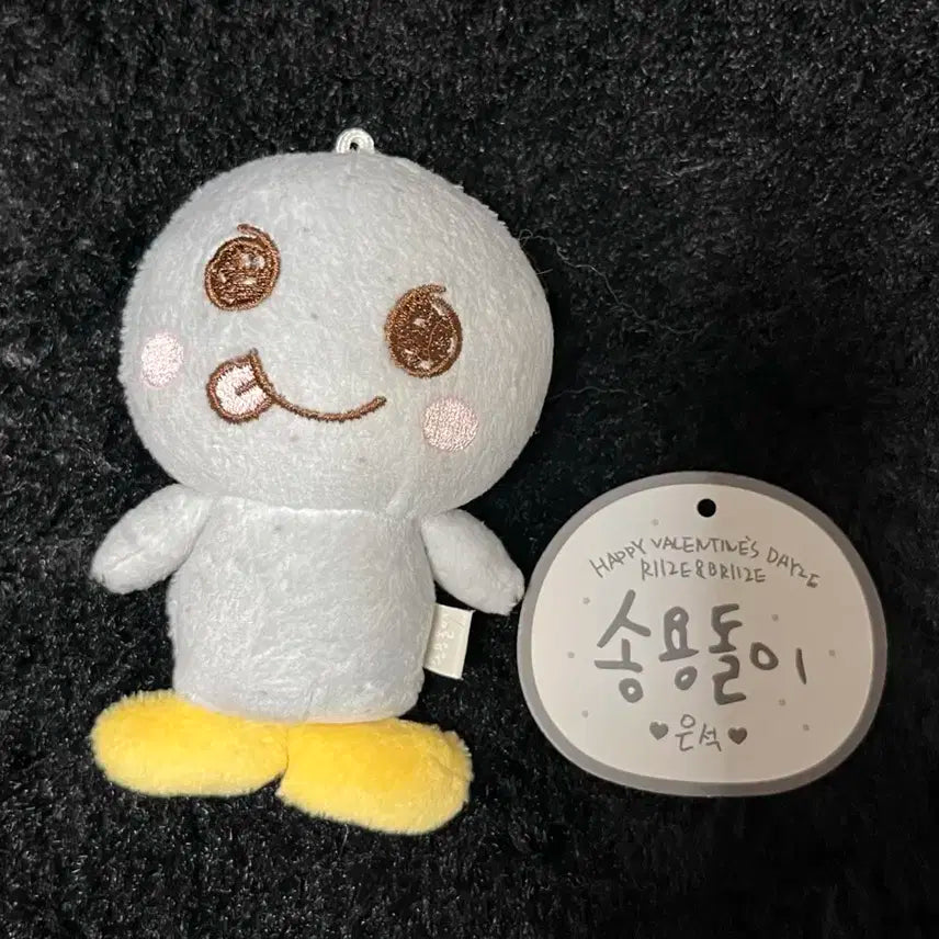 라이즈 은석 송용돌이 10cm 인형 1기 양도